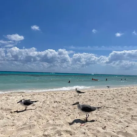 Z Widokiem Na Morze * Misdroy